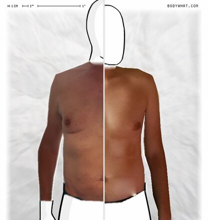 Torso Comparison