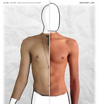 Torso Comparison