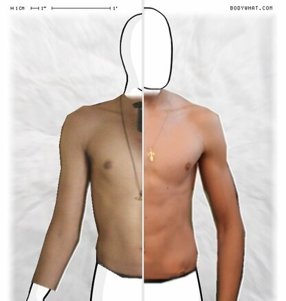 Torso Comparison