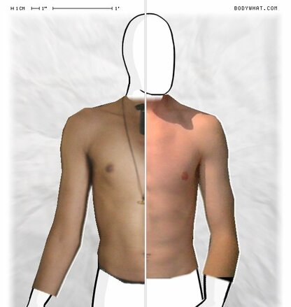 Torso Comparison
