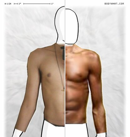 Torso Comparison