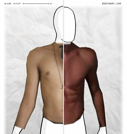 Torso Comparison