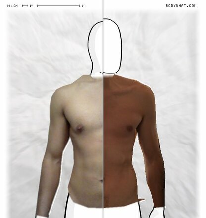 Torso Comparison