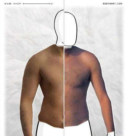 Torso Comparison