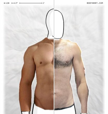 Torso Comparison