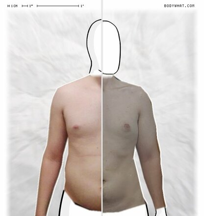 Torso Comparison