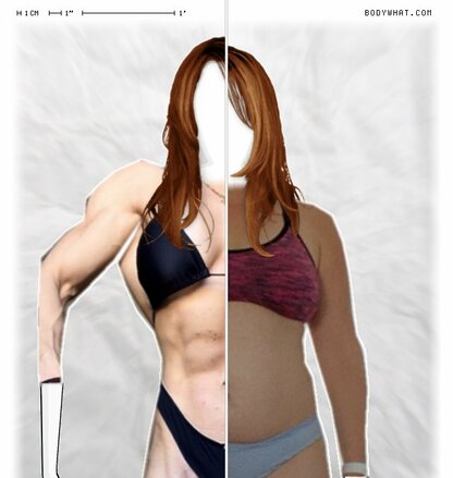 Torso Comparison