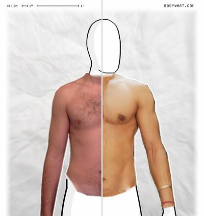 Torso Comparison