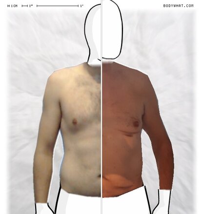 Torso Comparison