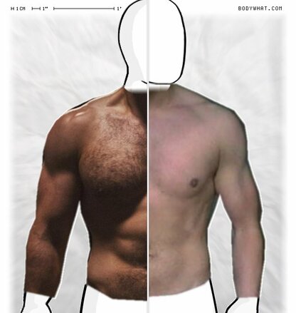 Torso Comparison