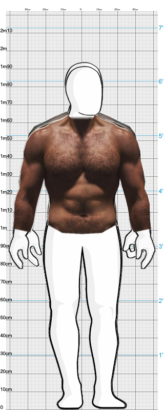 Full Size Comparison