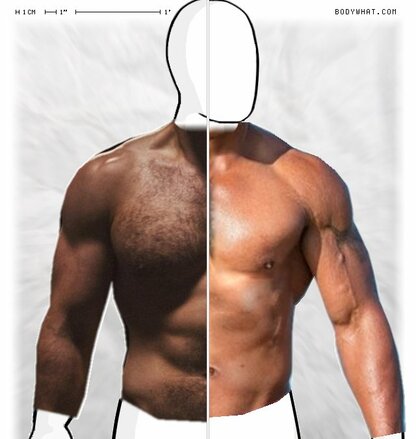 Torso Comparison