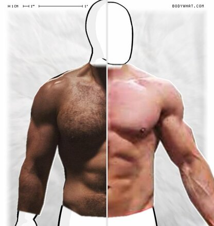 Torso Comparison