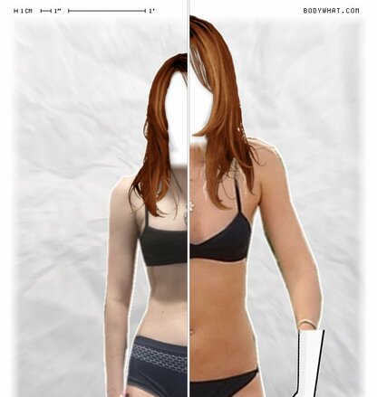 Torso Comparison