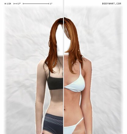 Torso Comparison