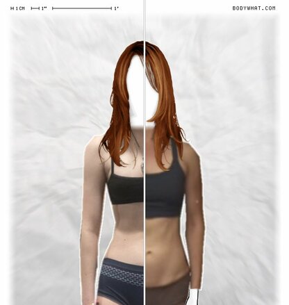 Torso Comparison
