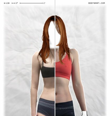 Torso Comparison