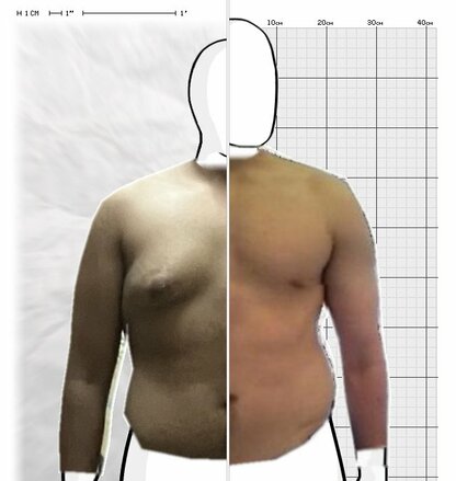 Torso Comparison