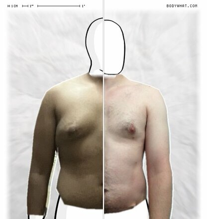 Torso Comparison