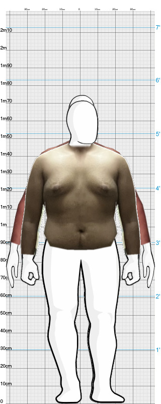 Full Size Comparison