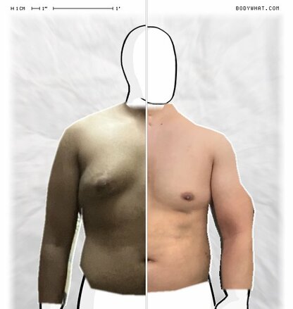 Torso Comparison