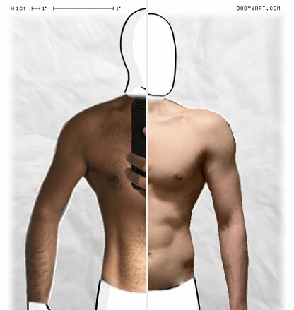 Torso Comparison