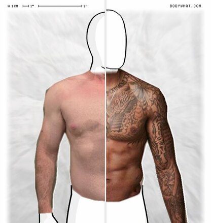 Torso Comparison