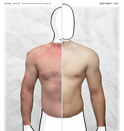Torso Comparison