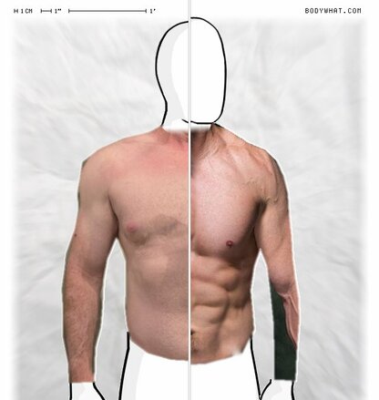 Torso Comparison
