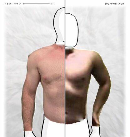 Torso Comparison