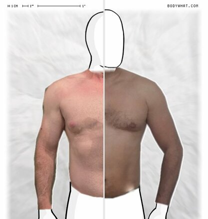 Torso Comparison