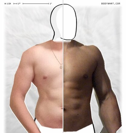 Torso Comparison