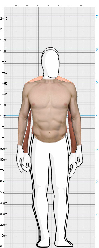 Full Size Comparison