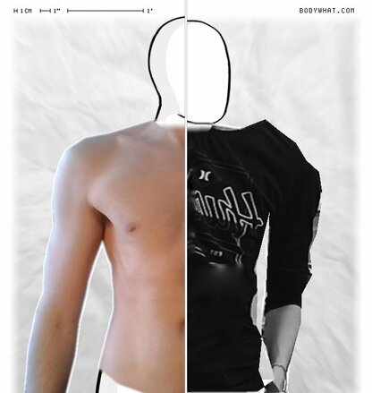 Torso Comparison