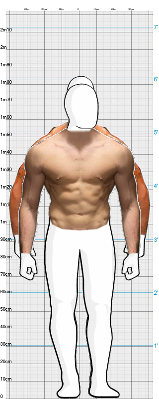 Full Size Comparison
