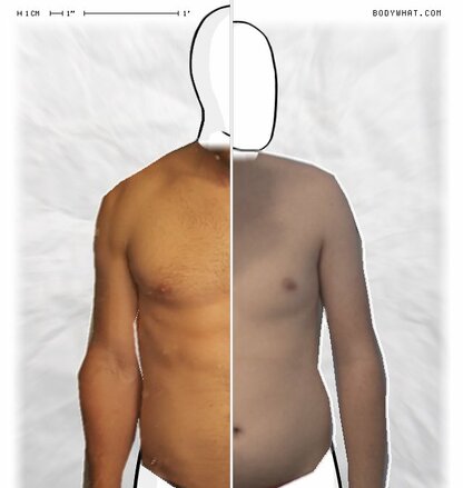 Torso Comparison