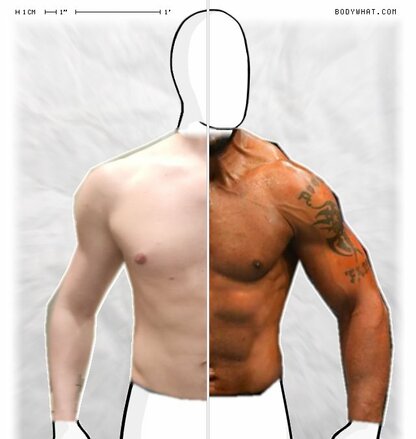 Torso Comparison