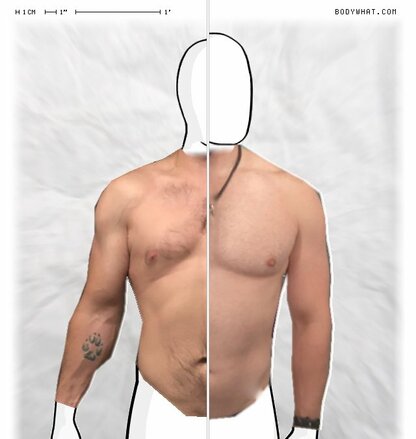 Torso Comparison