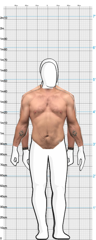 Full Size Comparison