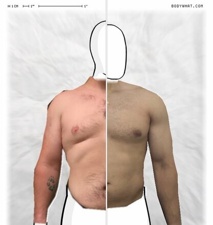 Torso Comparison