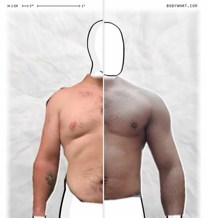 Torso Comparison