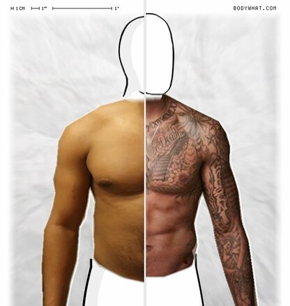 Torso Comparison