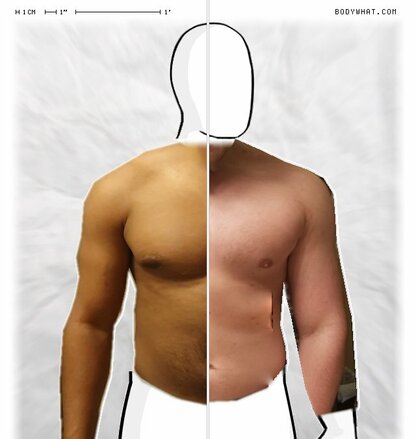 Torso Comparison