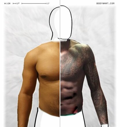 Torso Comparison