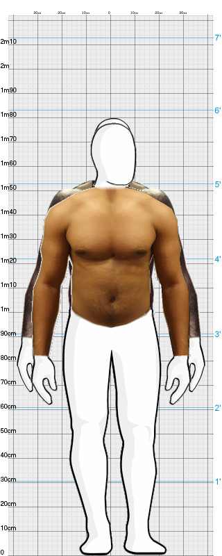 Full Size Comparison