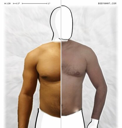 Torso Comparison