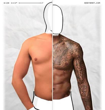 Torso Comparison