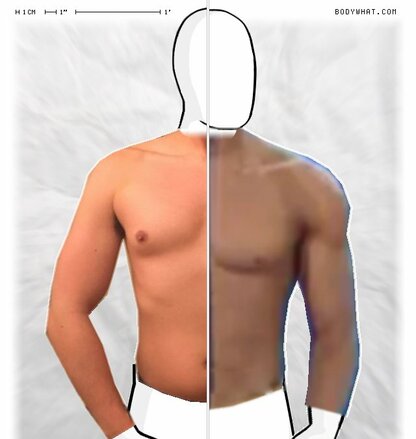 Torso Comparison