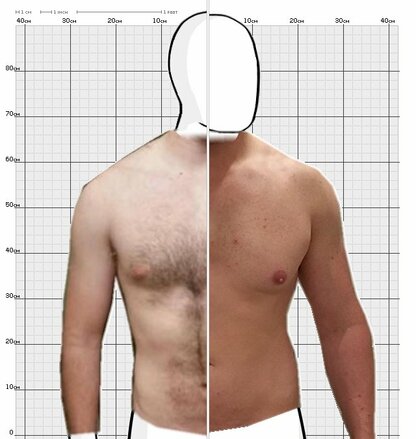 Torso Comparison