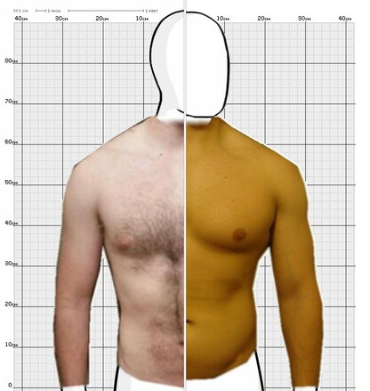 Torso Comparison